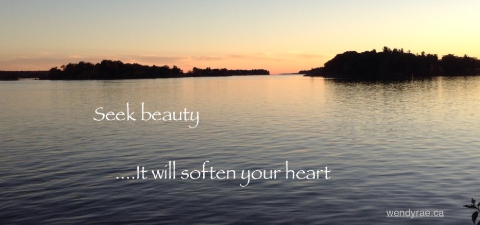 Seek beauty